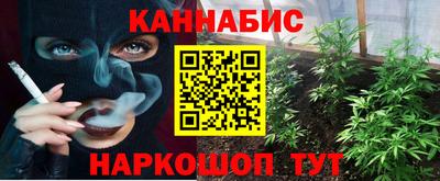 apvp Вязники
